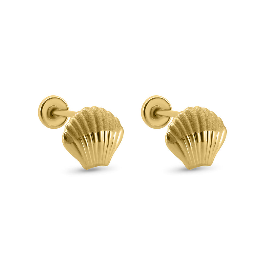 14 Karat Yellow Gold Seashell Screw Back Earrings